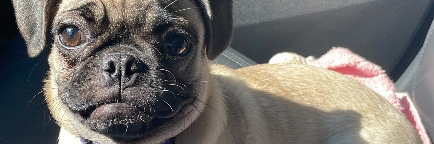 Edith_03iq's profile banner image