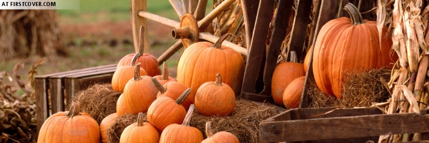 pumpkin_spice47's profile banner image
