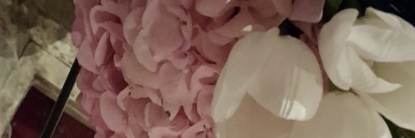 Dania_T_M's profile banner image