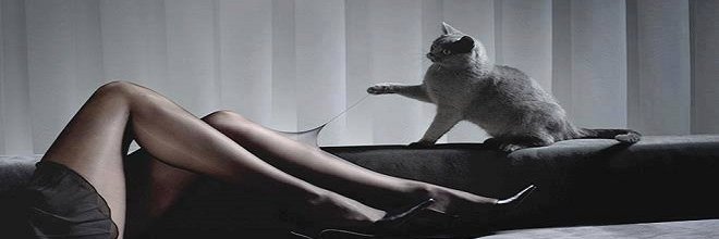 Amazing_Gif's profile banner image