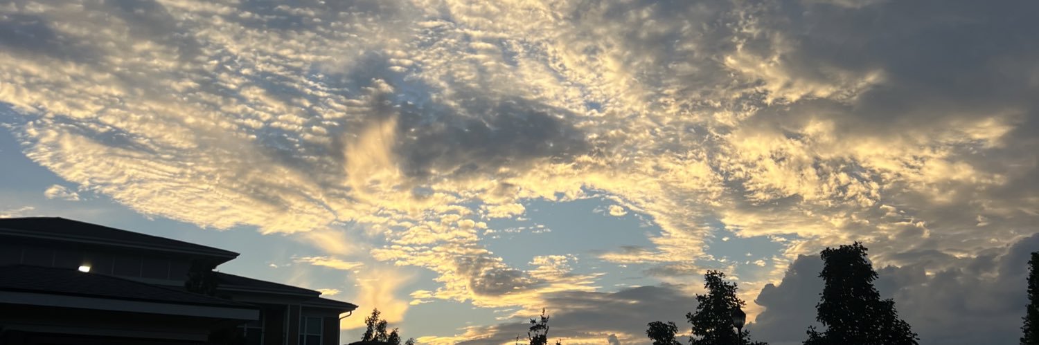 KaylaMEllison's profile banner image