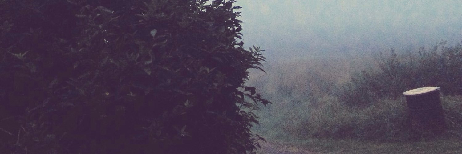 fosteredimpostr's profile banner image