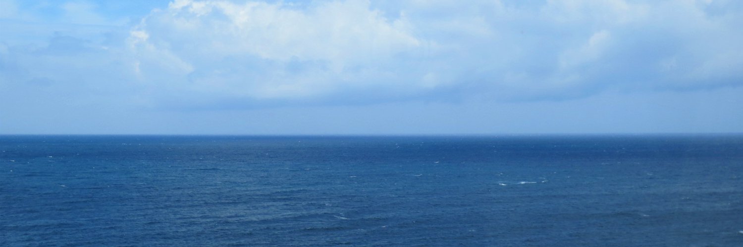 choko_k's profile banner image