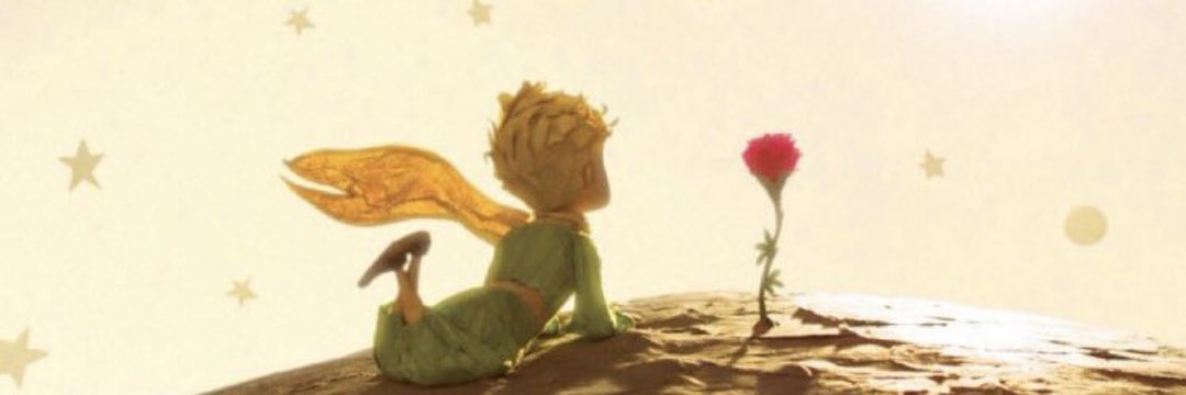 nihalcylk's profile banner image