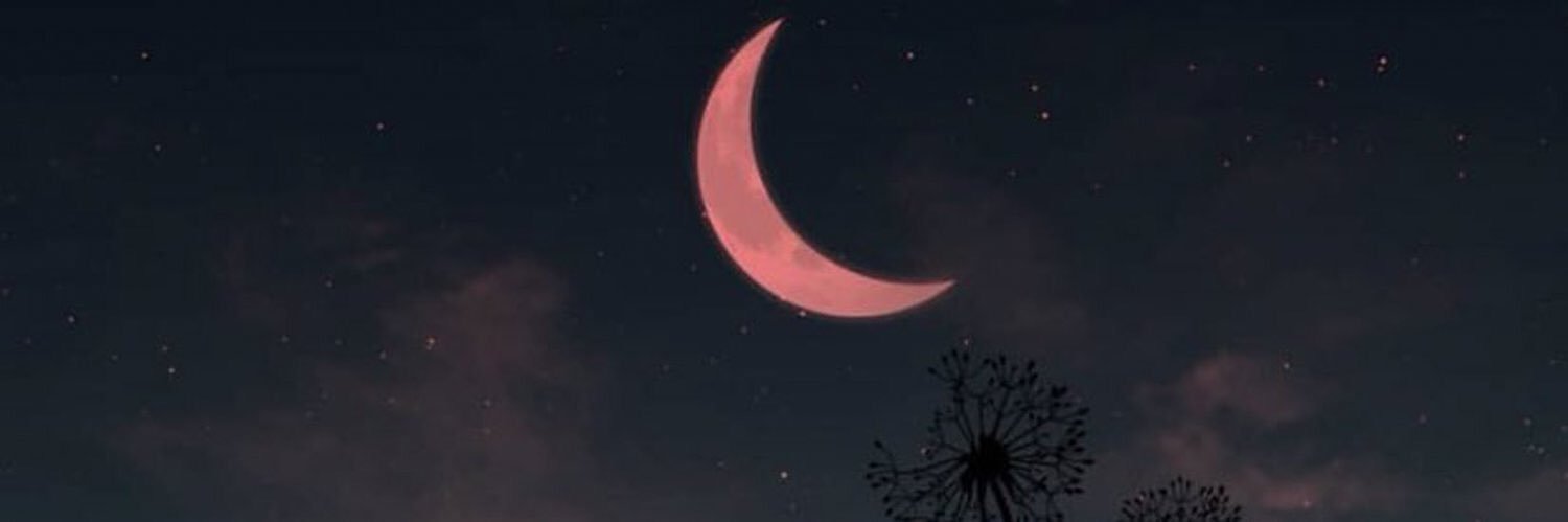 asmaa93h's profile banner image