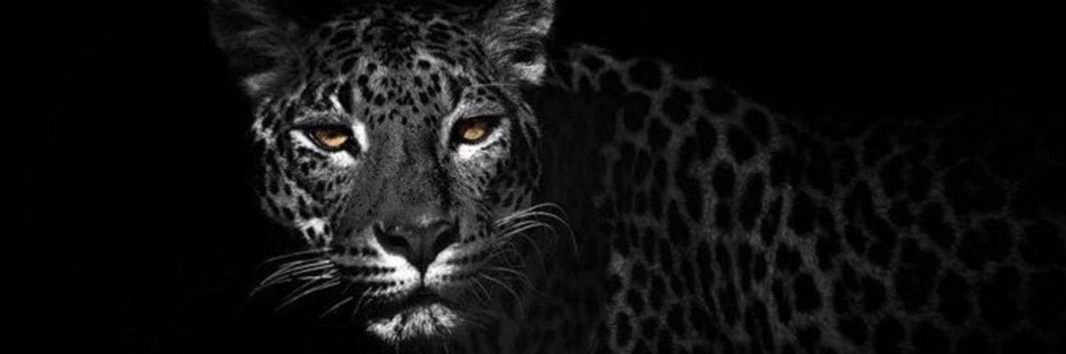 xxzzf7's profile banner image