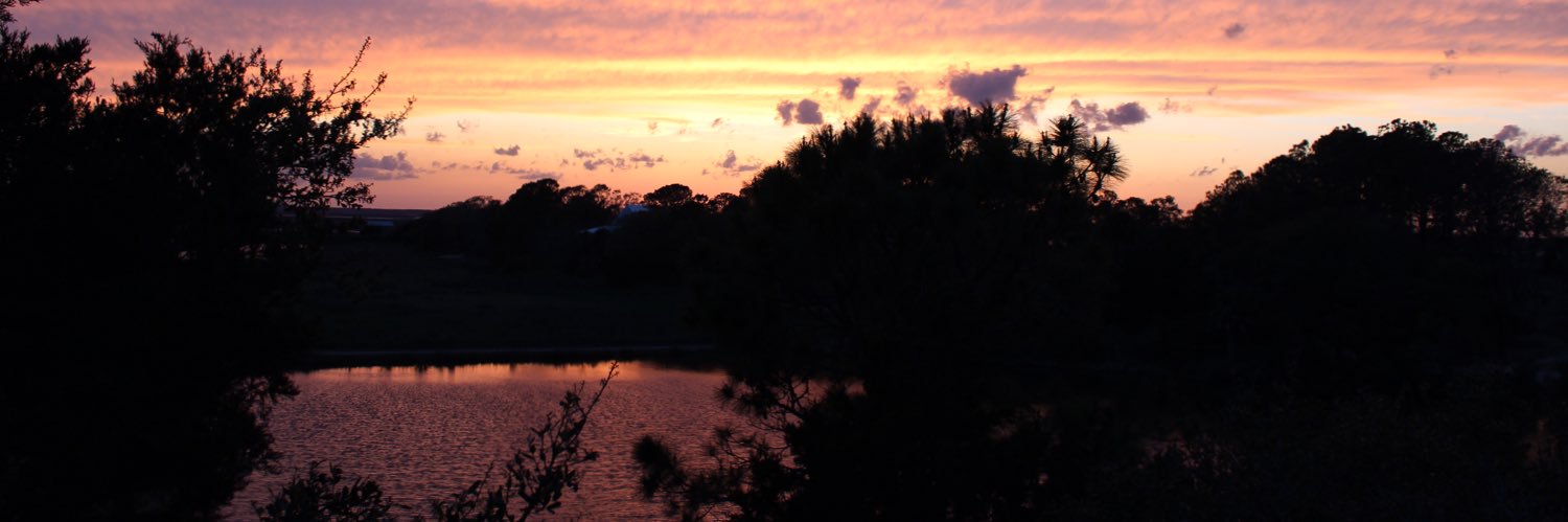 EmilyFairchild's profile banner image