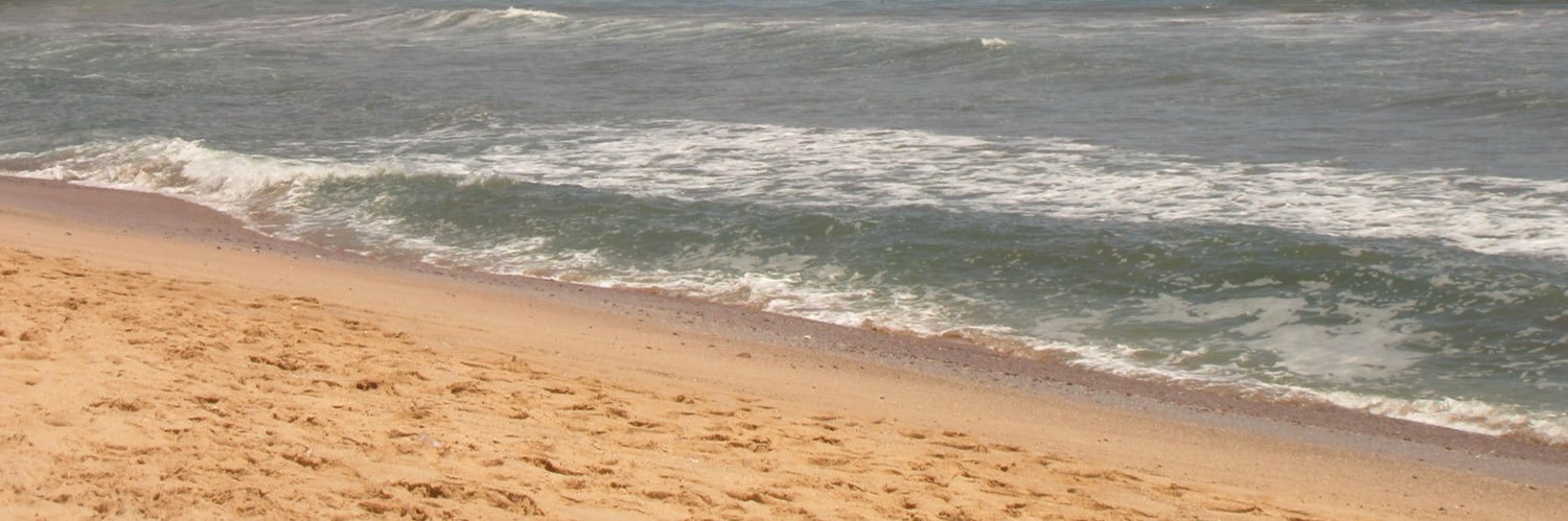 anapaugrc's profile banner image
