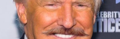 RealRonaldTrunk's profile banner image