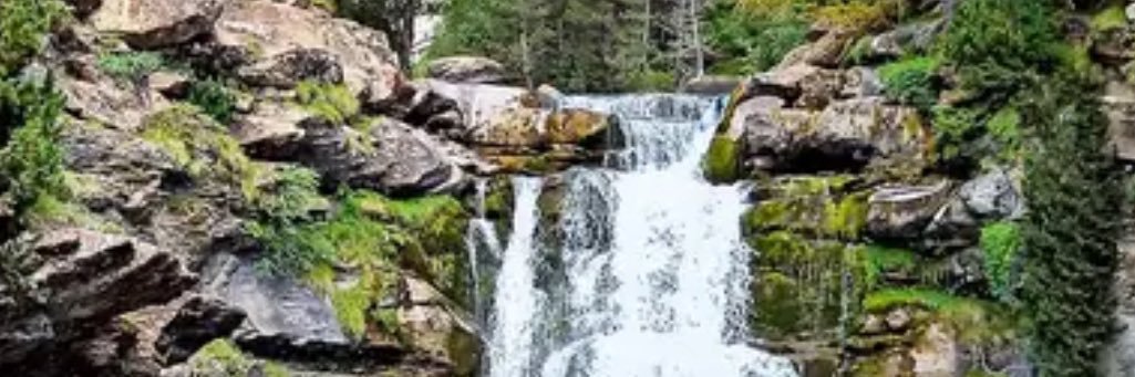 LizzMac29's profile banner image