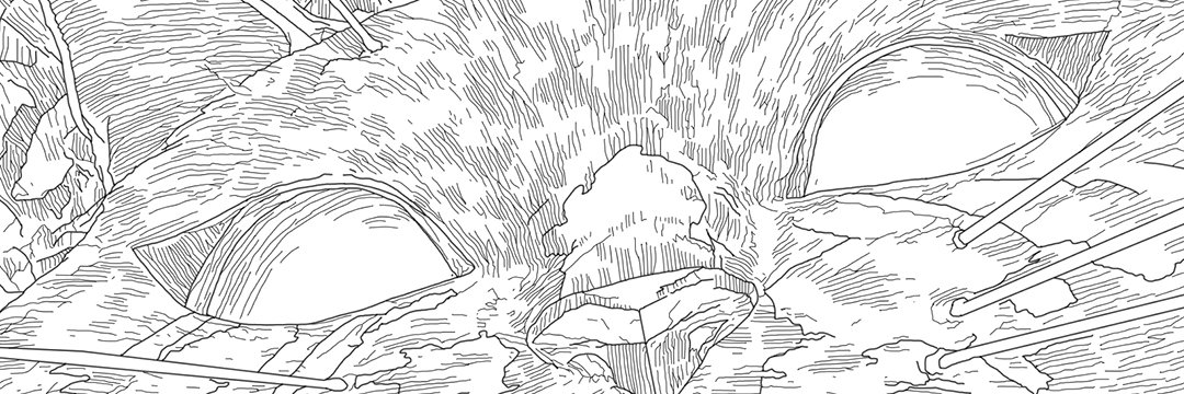 Pablo Monreal banner