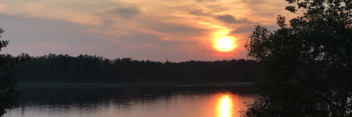 rpatrow1's profile banner image