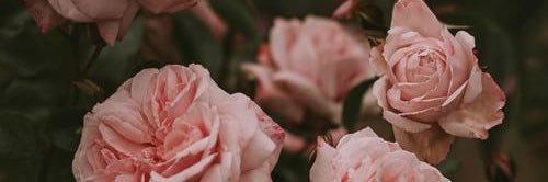 BeautyInbound's profile banner image