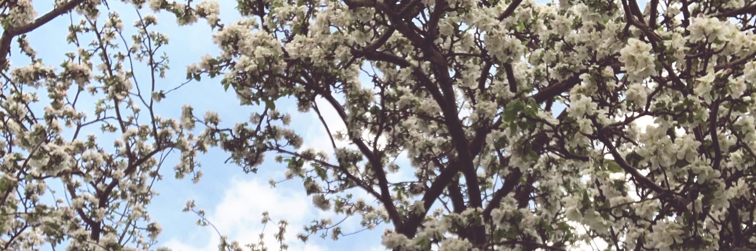 austintragesser's profile banner image