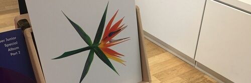 MYGVIVID's profile banner image
