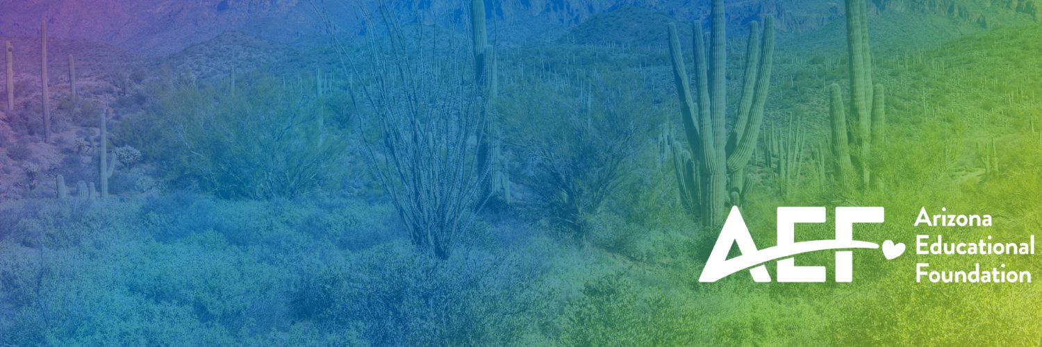 azedfoundation's profile banner image