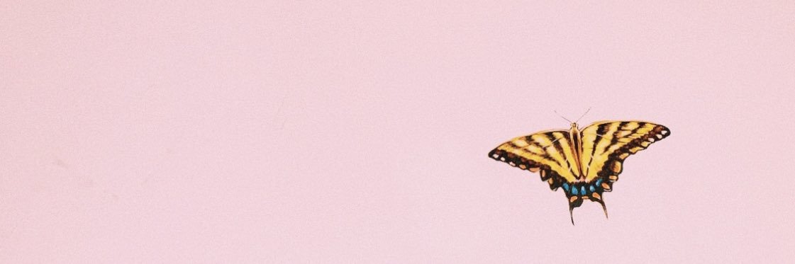 irenerrotondo's profile banner image
