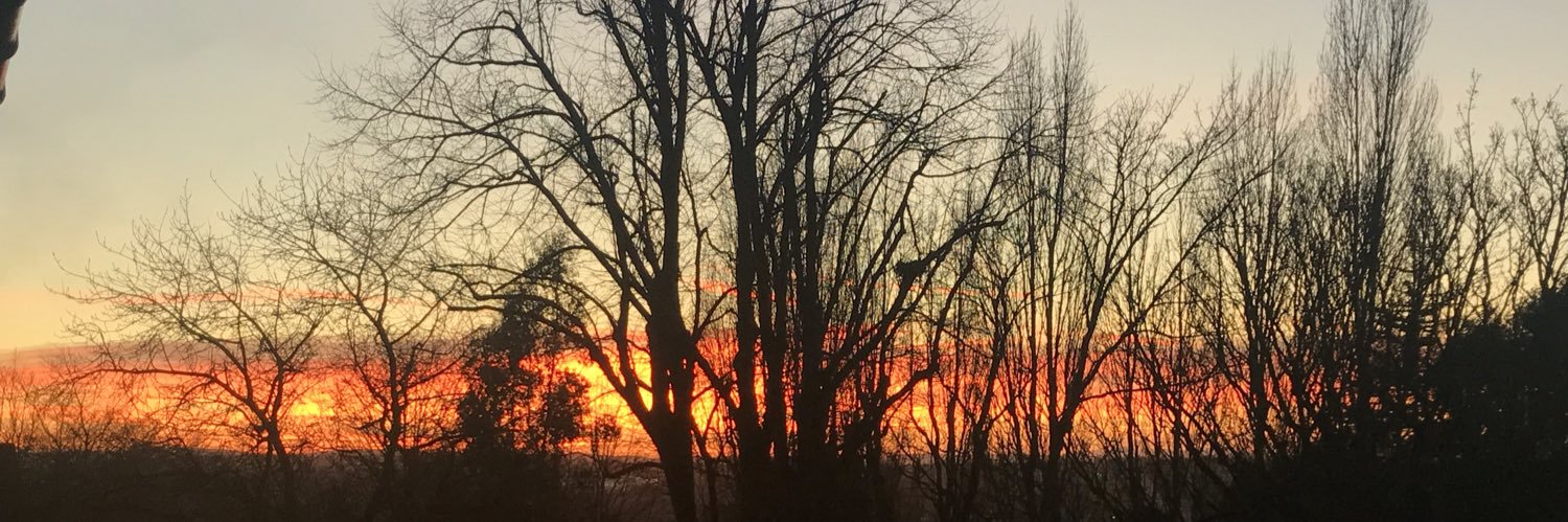 BodgerBrady's profile banner image