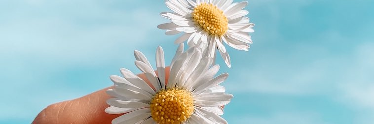 brit_chaston's profile banner image