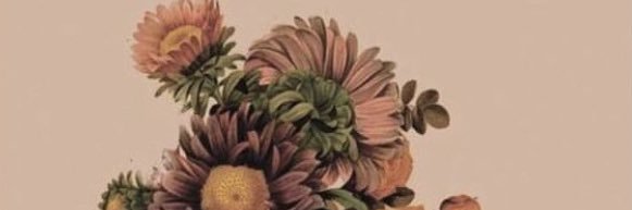 hwya__'s profile banner image