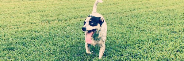 zeeder17 Profile Banner