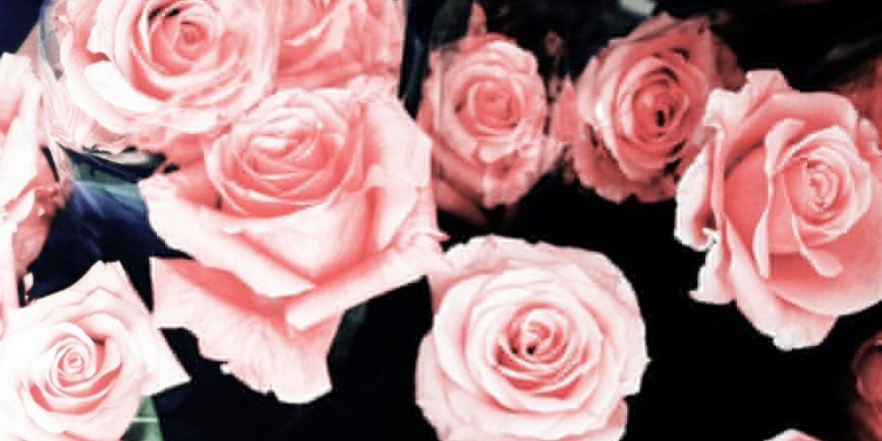 Sadevadevi's profile banner image