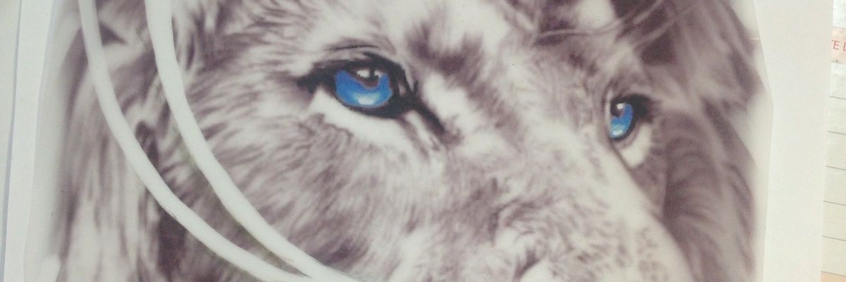 ImRavN__'s profile banner image