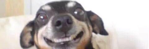 estegueyjay's profile banner image