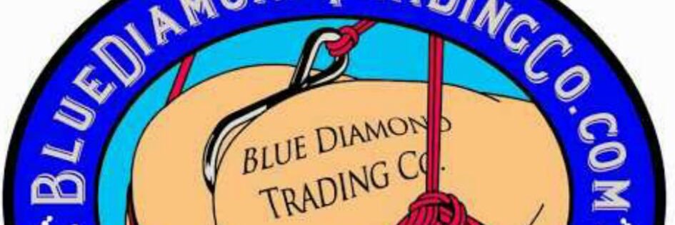 Blue_Diamond777's profile banner image