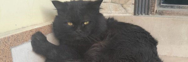 SamadOpel Profile Banner