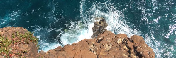 brunoabinader Profile Banner