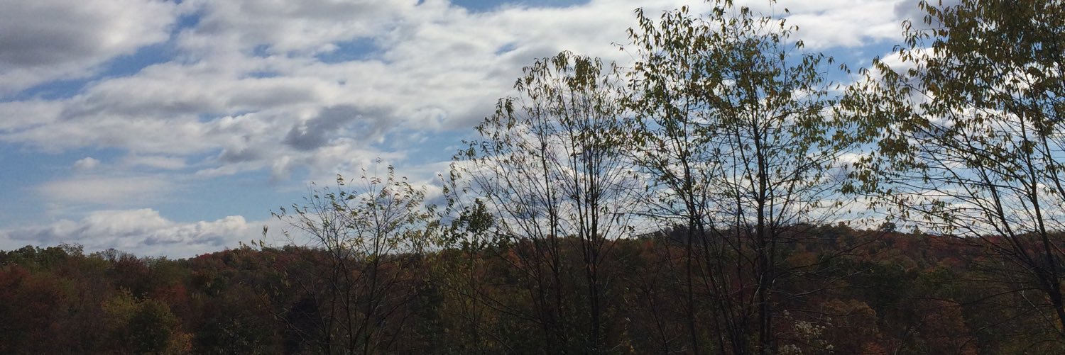 brightsidewv's profile banner image