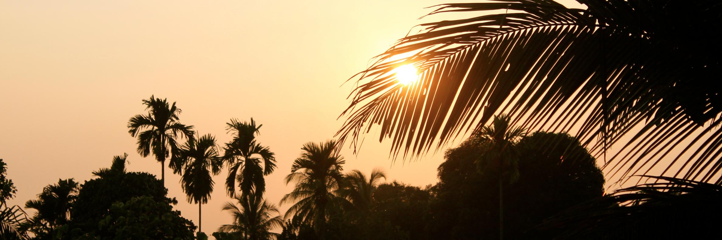 Graham Crackers banner