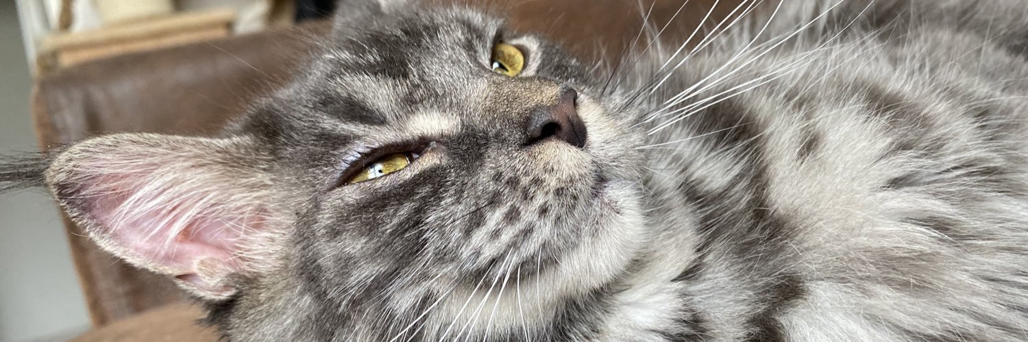 eaumyygod's profile banner image