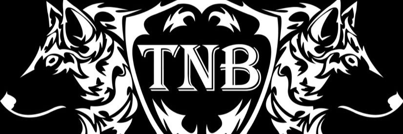 Princedtnb's profile banner image