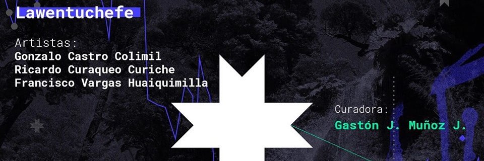 UChileIndigena's profile banner image