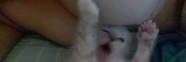 karobozz's profile banner image