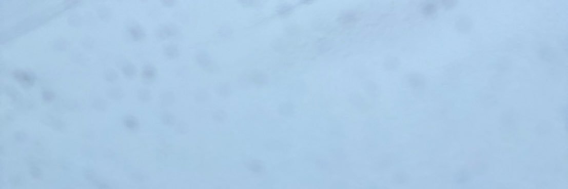 i4_p8's profile banner image