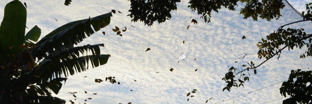 a_ostasiewicz's profile banner image