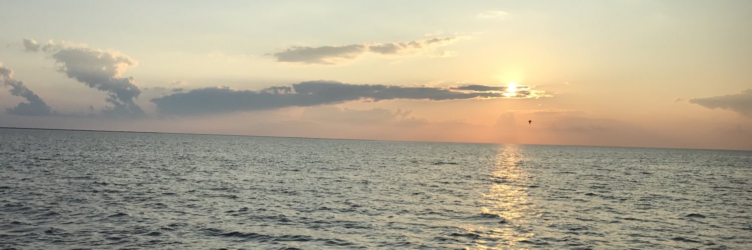 tgriffinnc's profile banner image