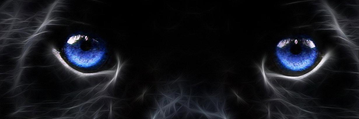 Buttfucker 3000™️ banner