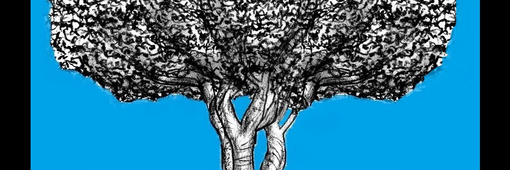 ThePolicyTree's profile banner image