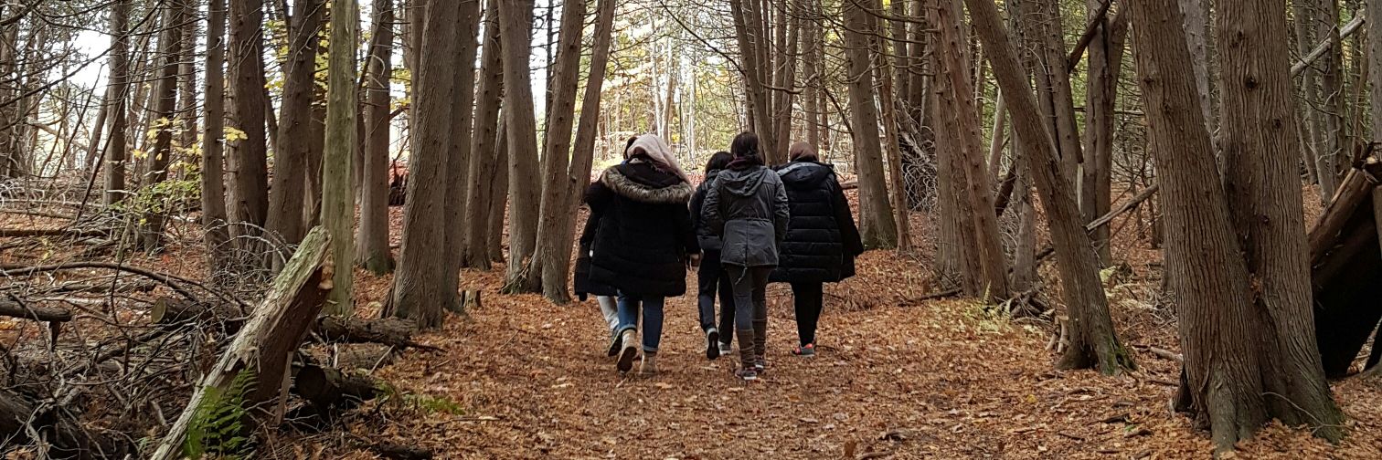 simsimscorner's profile banner image