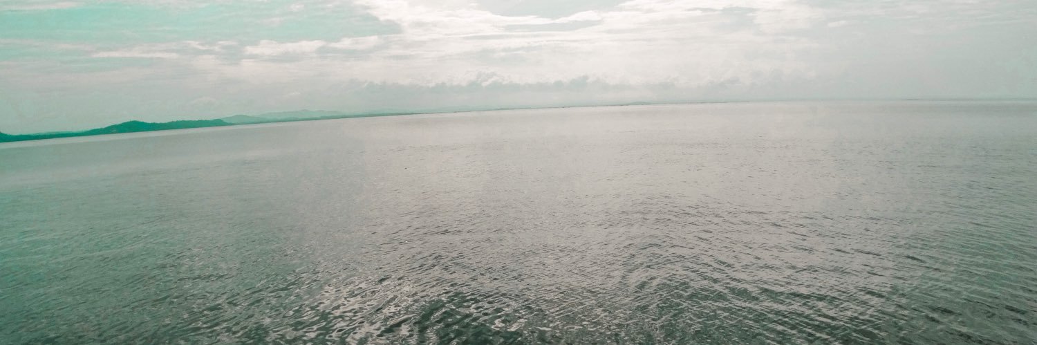 alyyyyssandra's profile banner image