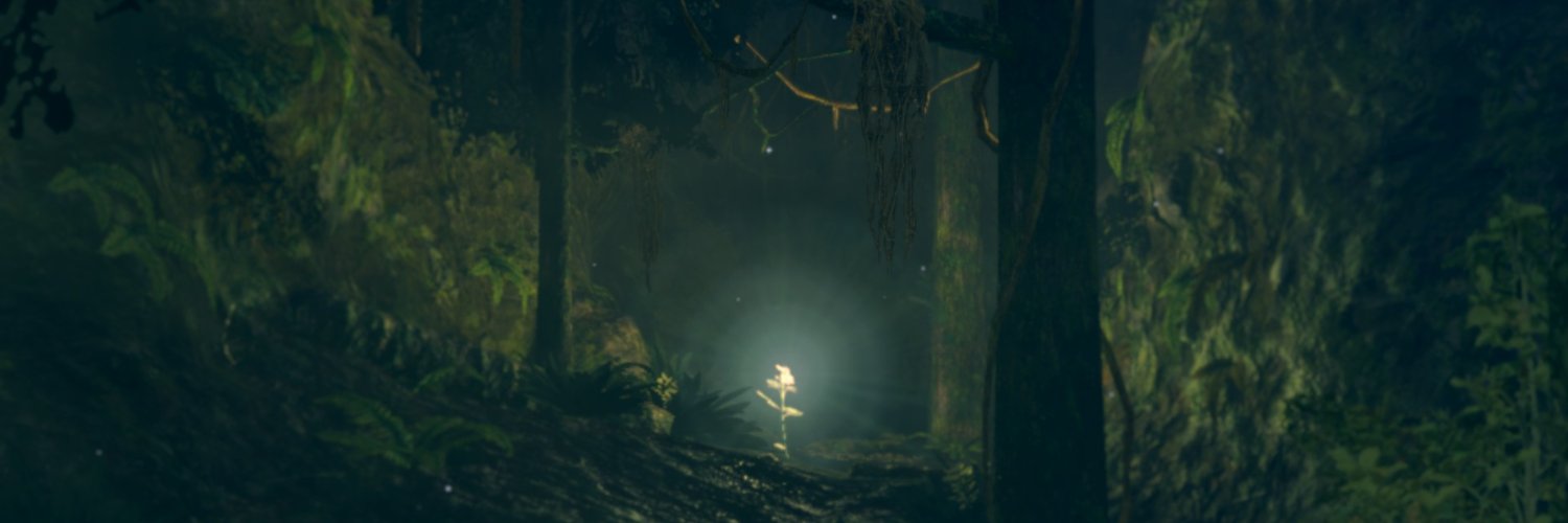SwampLaurentius's profile banner image
