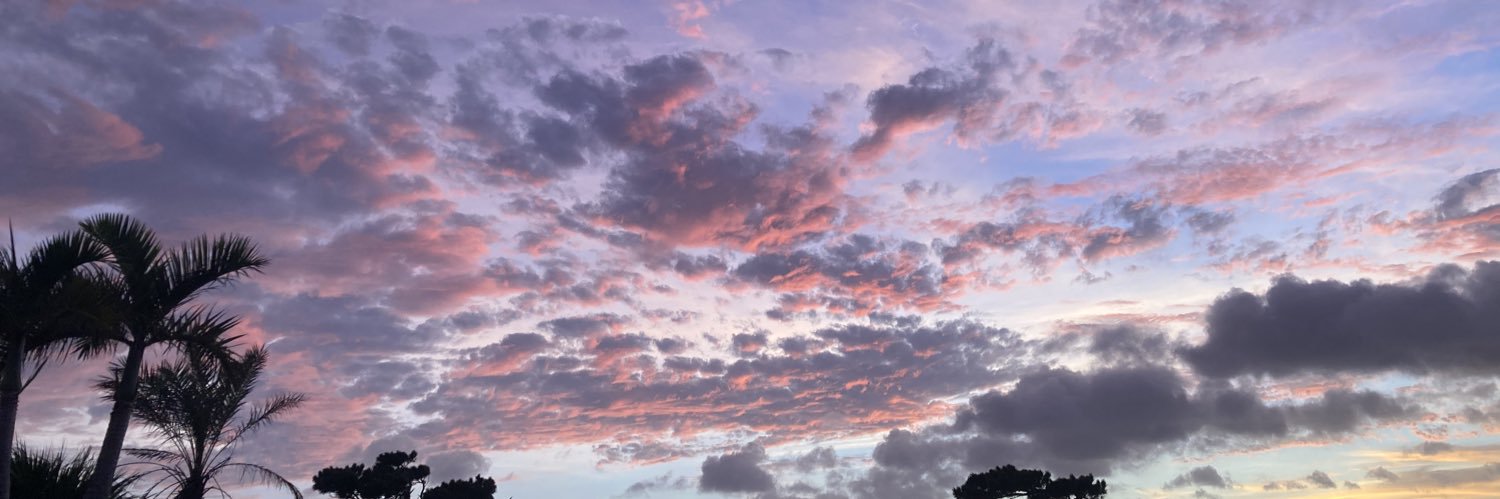 aufiume's profile banner image