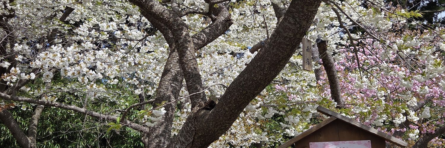 手持ちぶたさん banner