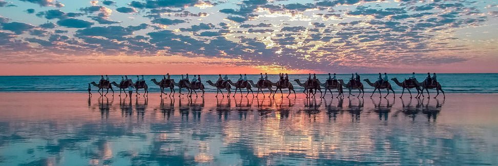 Mark Mac Lean banner