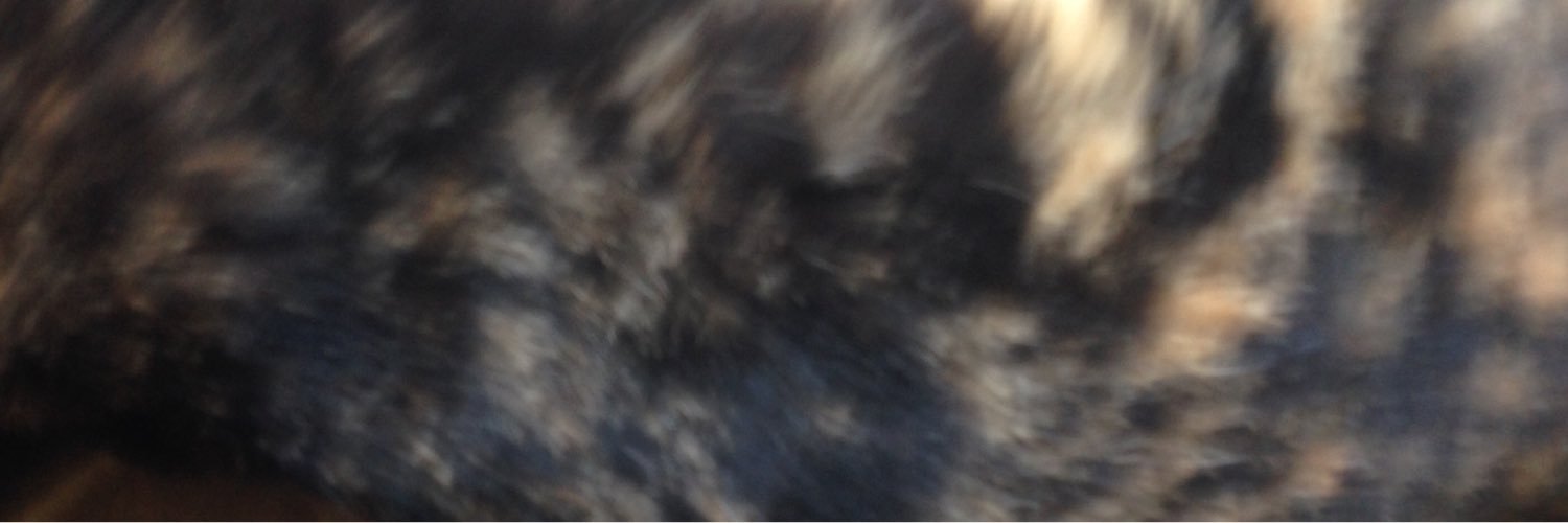 leonnel's profile banner image