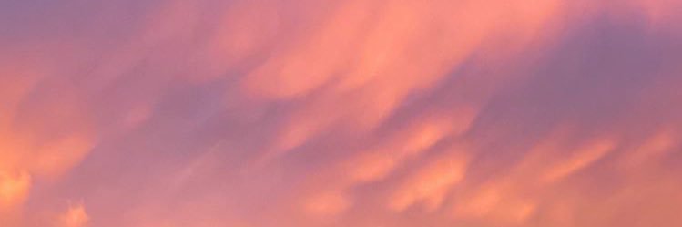 paolarique's profile banner image